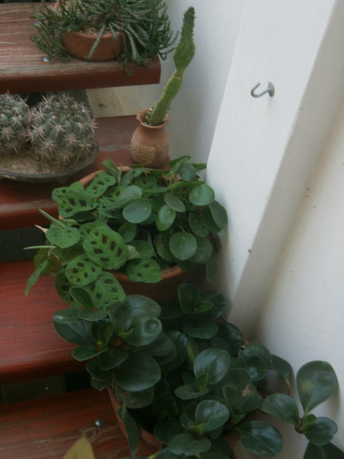 Hostal Aires De Cafayate Bagian luar foto